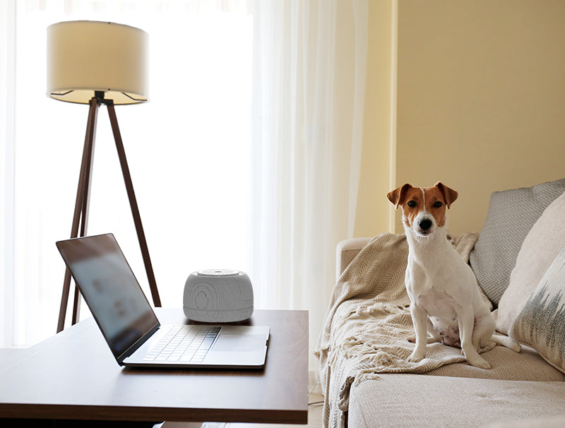 essential oil diffusers for pets