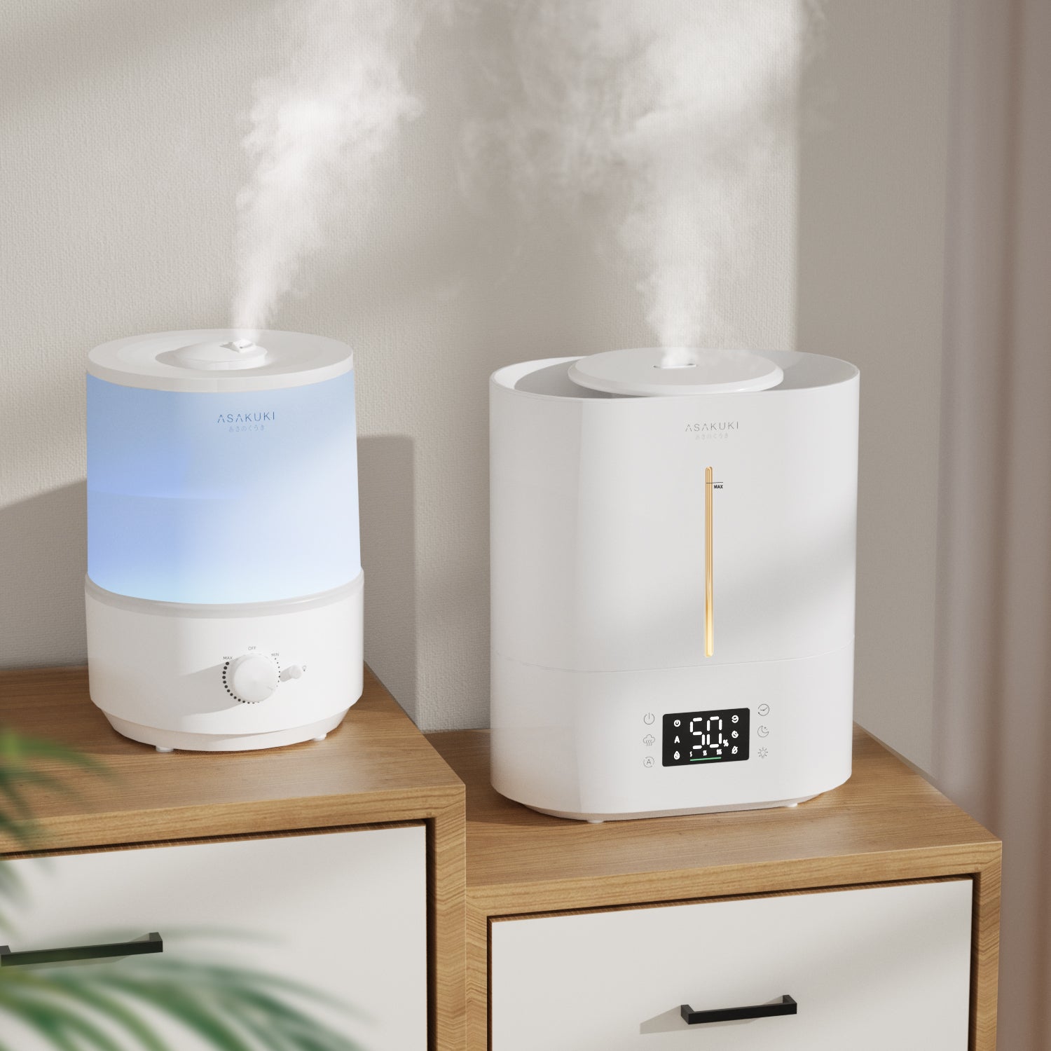 Cool Mist Humidifier vs Warm Mist Humidifier, Which Is Better? Asakuki