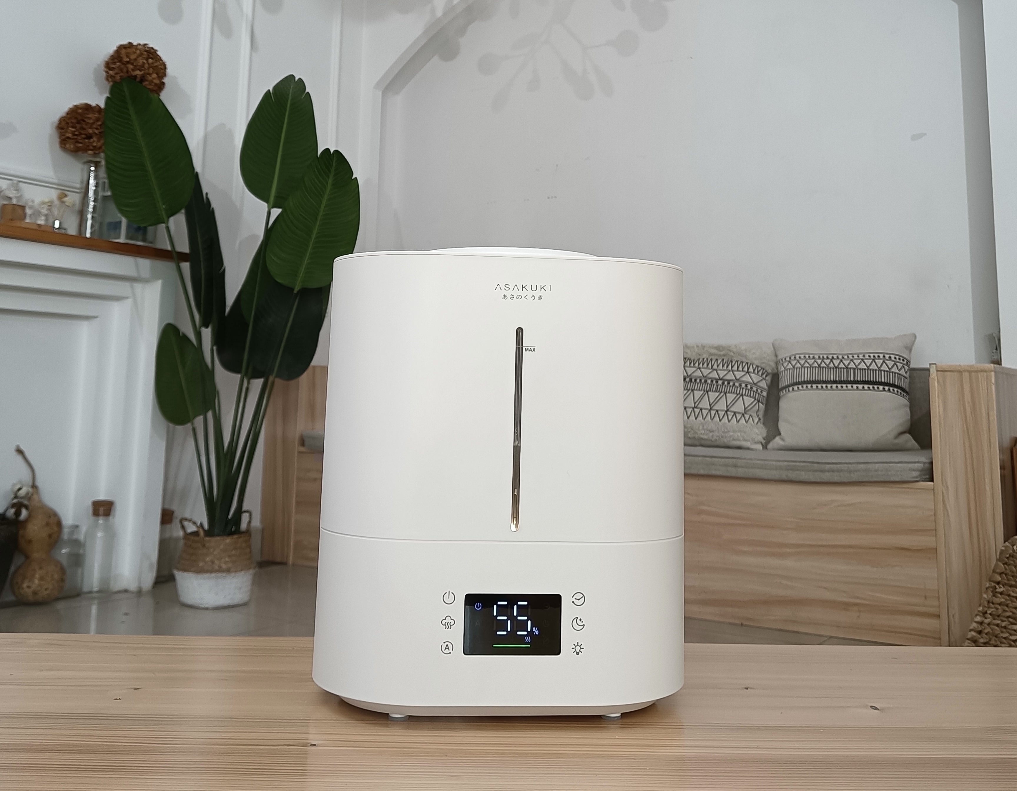 Is a Humidifier Good for Allergies? Asakuki