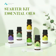 TOP6 Essential Oils Set 6pcs*10ml