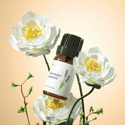 Spring Light Wood Diffuser with 8pcs*10ml Oils