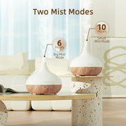 Spring Light Wood Diffuser with 8pcs*10ml Oils