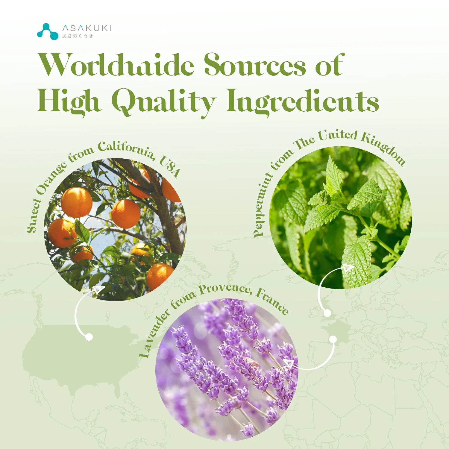 TOP6 Essential Oils Set 6pcs*10ml