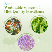 TOP6 Essential Oils Set 6pcs*10ml