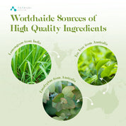TOP6 Essential Oils Set 6pcs*10ml