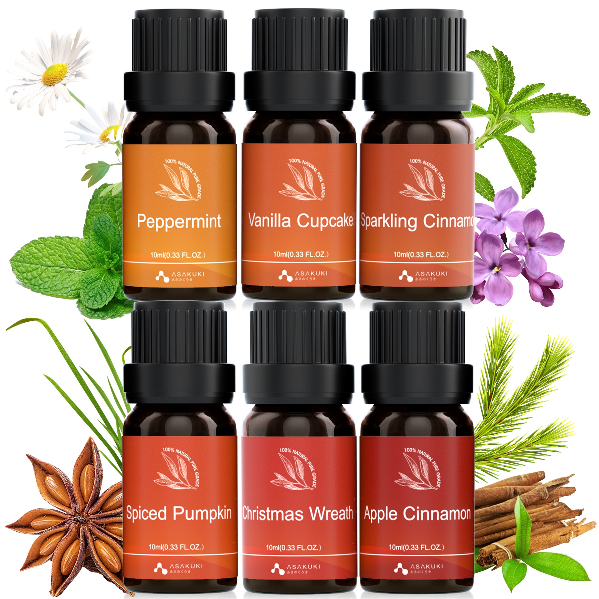Warm Bliss Essential Oils Set 6pcs*10ml