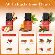 Warm Bliss Essential Oils Set 6pcs*10ml