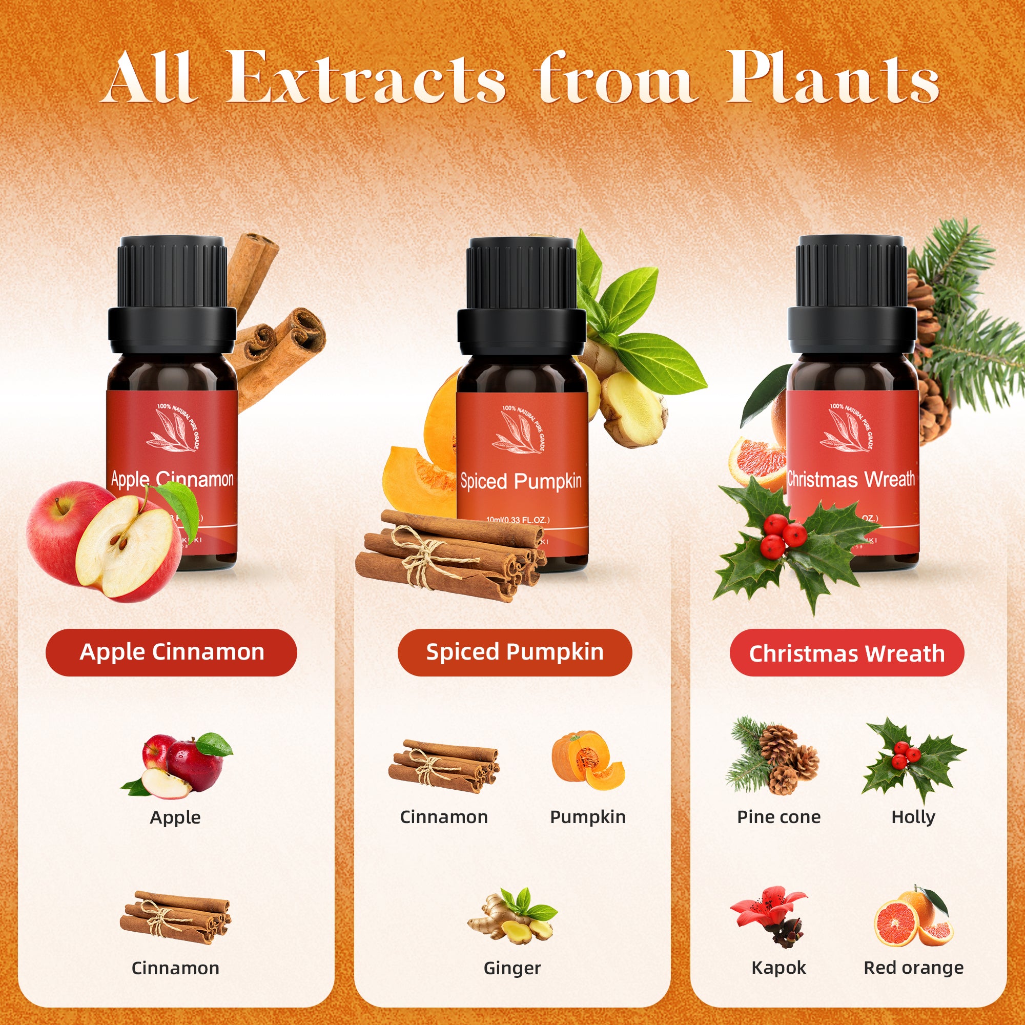 Warm Bliss Essential Oils Set 6pcs*10ml