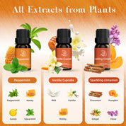 Warm Bliss Essential Oils Set 6pcs*10ml