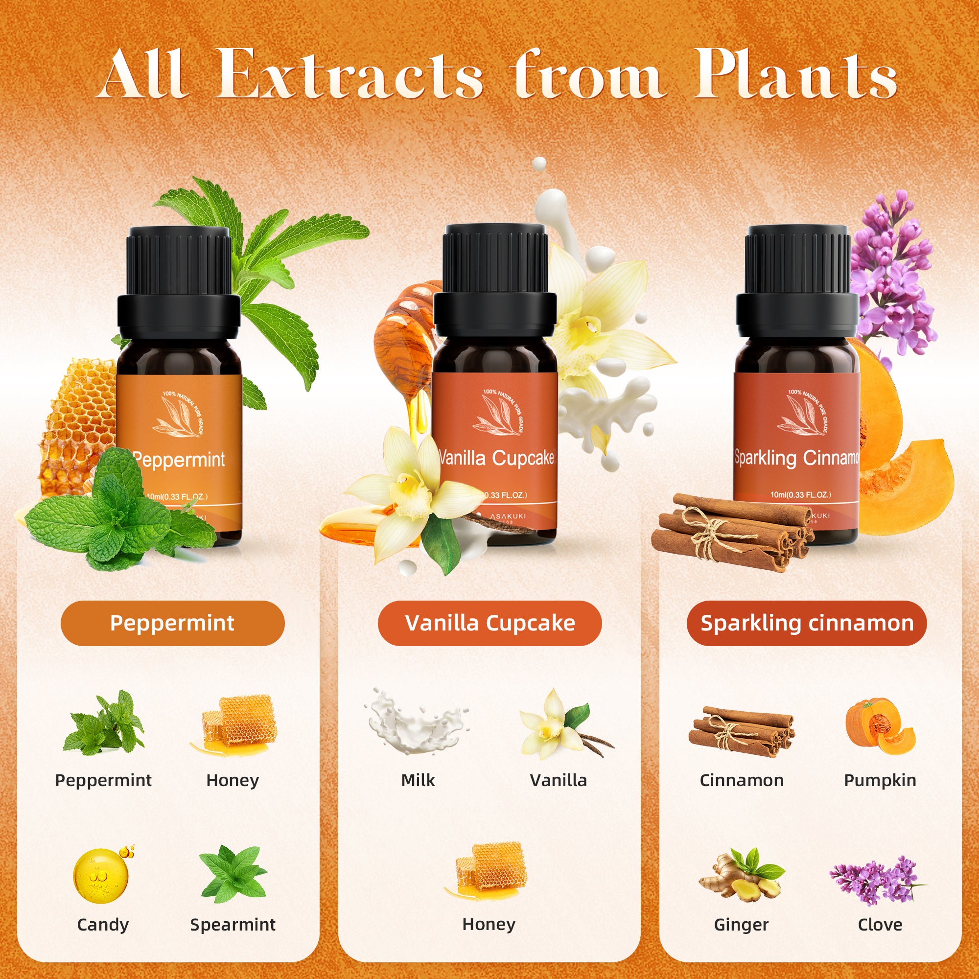 Warm Bliss Essential Oils Set 6pcs*10ml