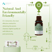 TOP6 Essential Oils Set 6pcs*10ml