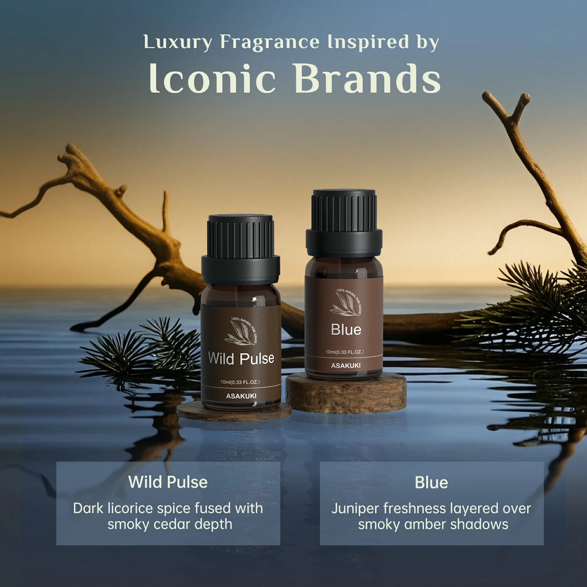 Gentleman’s Codes Essential Oil Set 6pcs*10ml