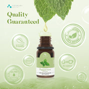 TOP6 Essential Oils Set 6pcs*10ml