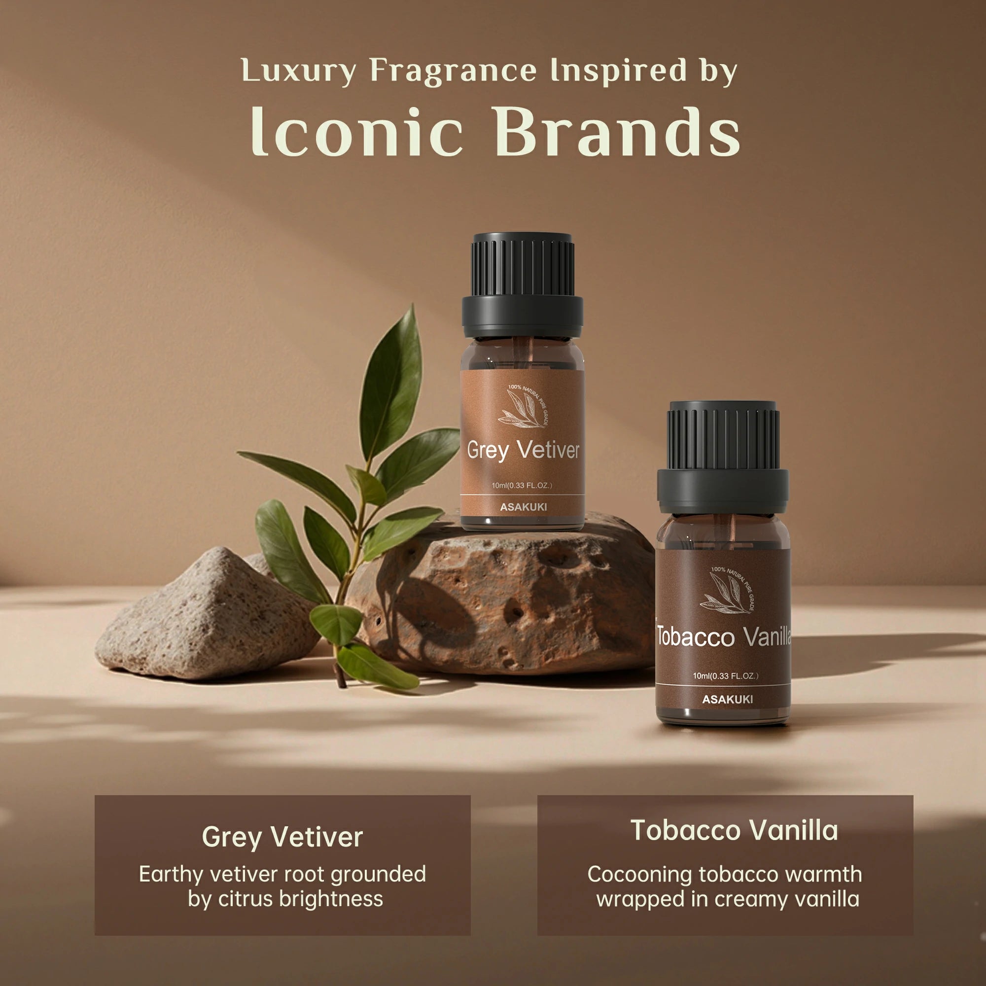 Gentleman’s Codes Essential Oil Set 6pcs*10ml