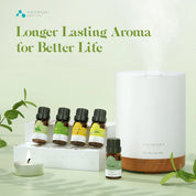 TOP6 Essential Oils Set 6pcs*10ml