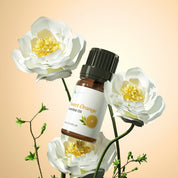 Spring White Wood Diffuser with 8pcs*10ml Oils