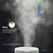 Dew Plus Light Wood Essential Oil Diffuser - Asakuki