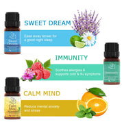 Cozy Essential Oil Set - Asakuki