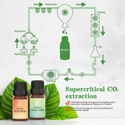 Wellness Blend Essential Oils Set - Asakuki