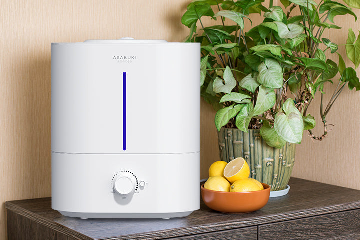 Air Purifier vs. Humidifier: Which One to Choose?