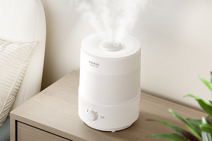 What Exactly Does a Humidifier Do?