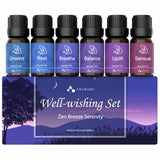 Well-Wishing Essential Oils Set 6pcs*10ml