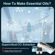 The Just Me Edition · Wanderlust Memories Set