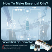 The Just Me Edition · Wanderlust Memories Set