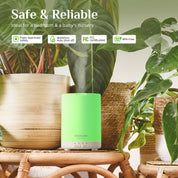 Dew Plus Pure Wood Essential Oil Diffuser