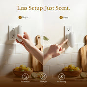 Pebble 60ml Wall Plug-In Waterless Diffuser