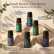 Waterless Essential Oil Diffuser with 6 × 10ml Well-Being Essential Oils